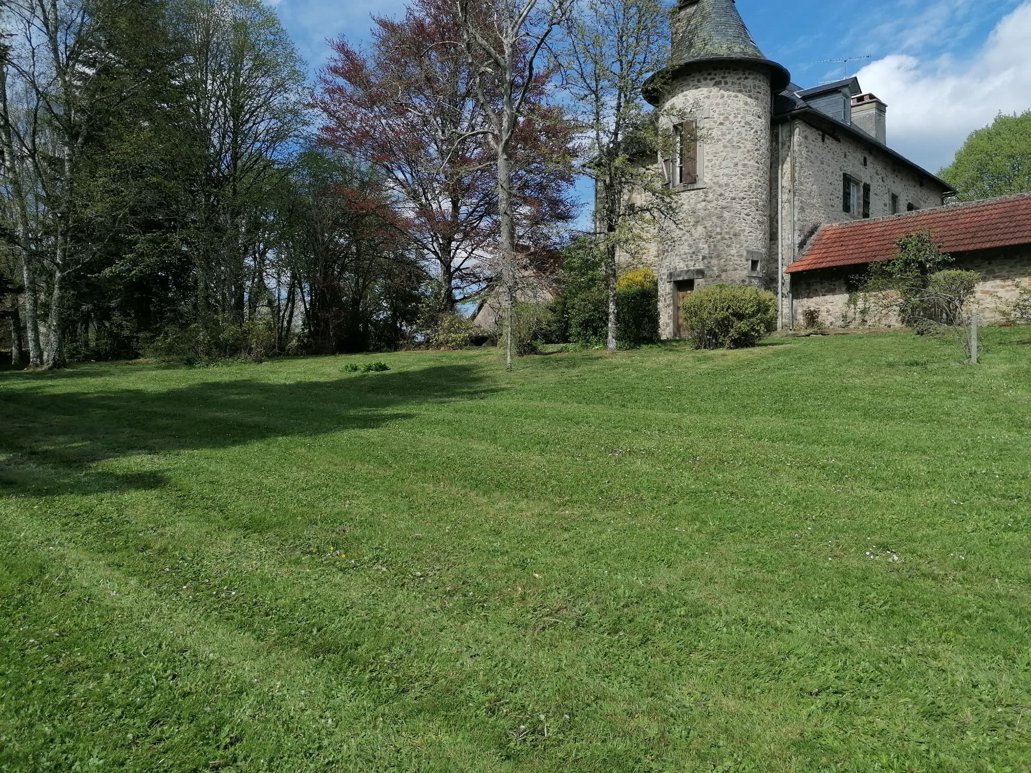 terrain